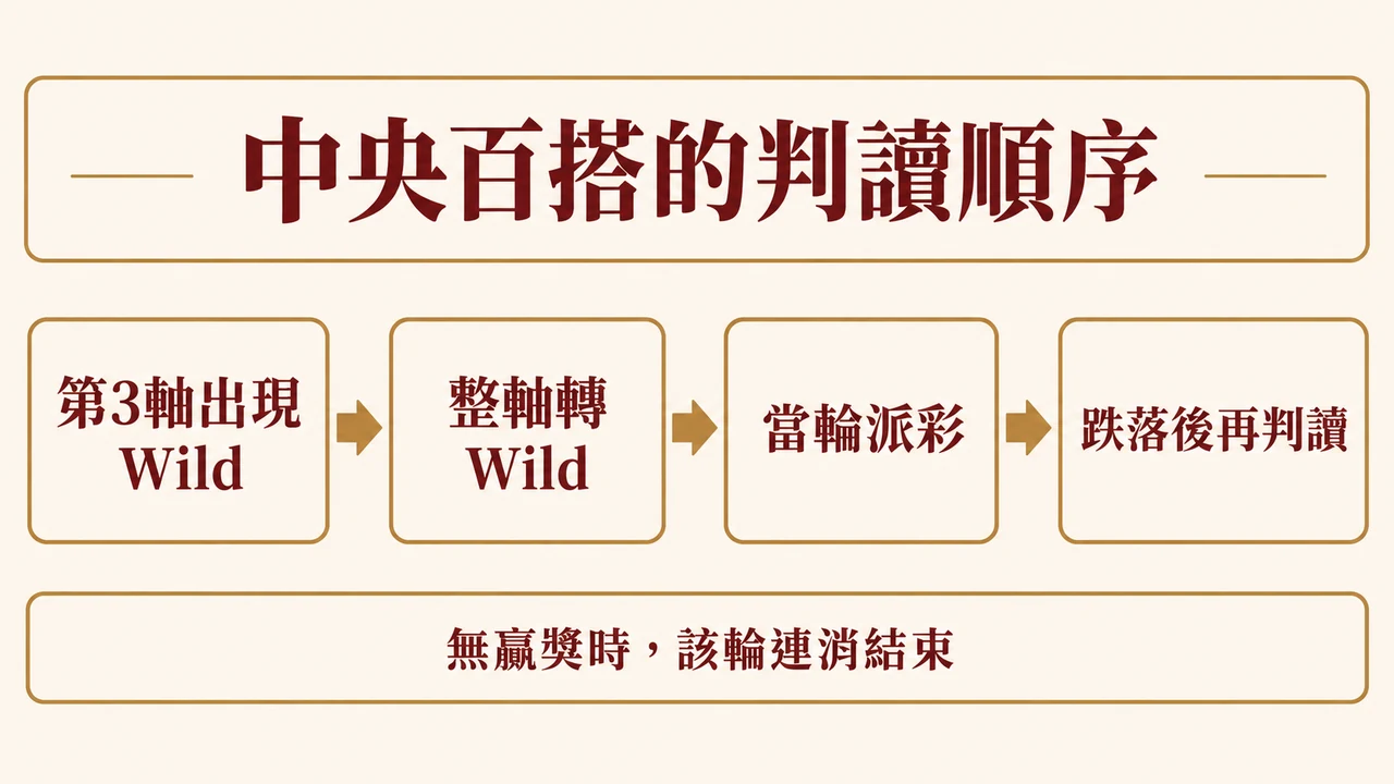 wild timeline規則資訊圖